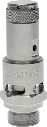 Exemplary representation: High-performance safety valve (stainless steel)