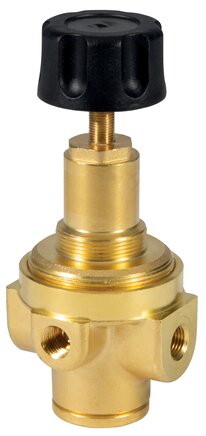 Exemplary representation: Brass pressure regulator