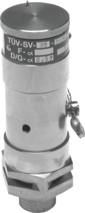 Exemplary representation: Stainless steel safety valve